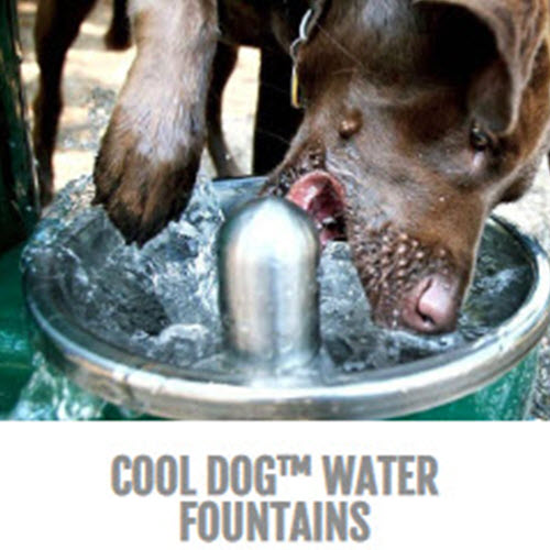 CAD Drawings BIM Models Gyms For Dogs™ Cool Dog™ Water Fountains
